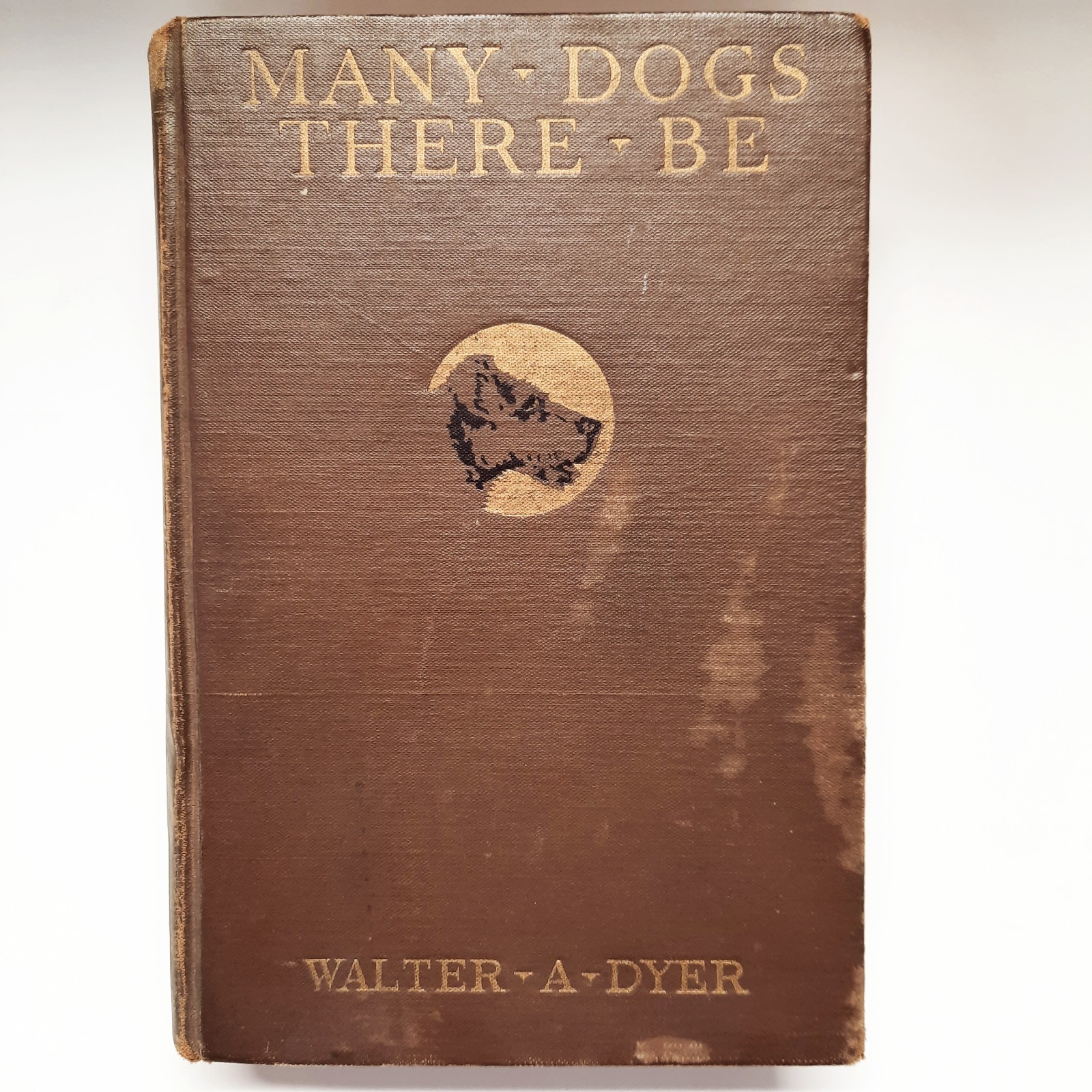 MANY DOGS THERE BE Book by Walter A Dyer First Edition 1924 Hardcover