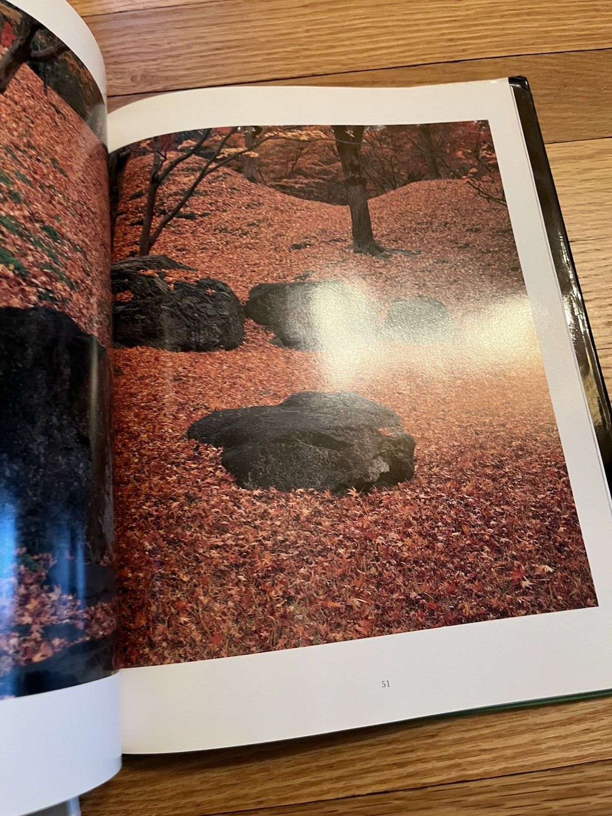 2 Books KYOTO GARDENS & Chinese Lower Yangtze River photos Japan & China