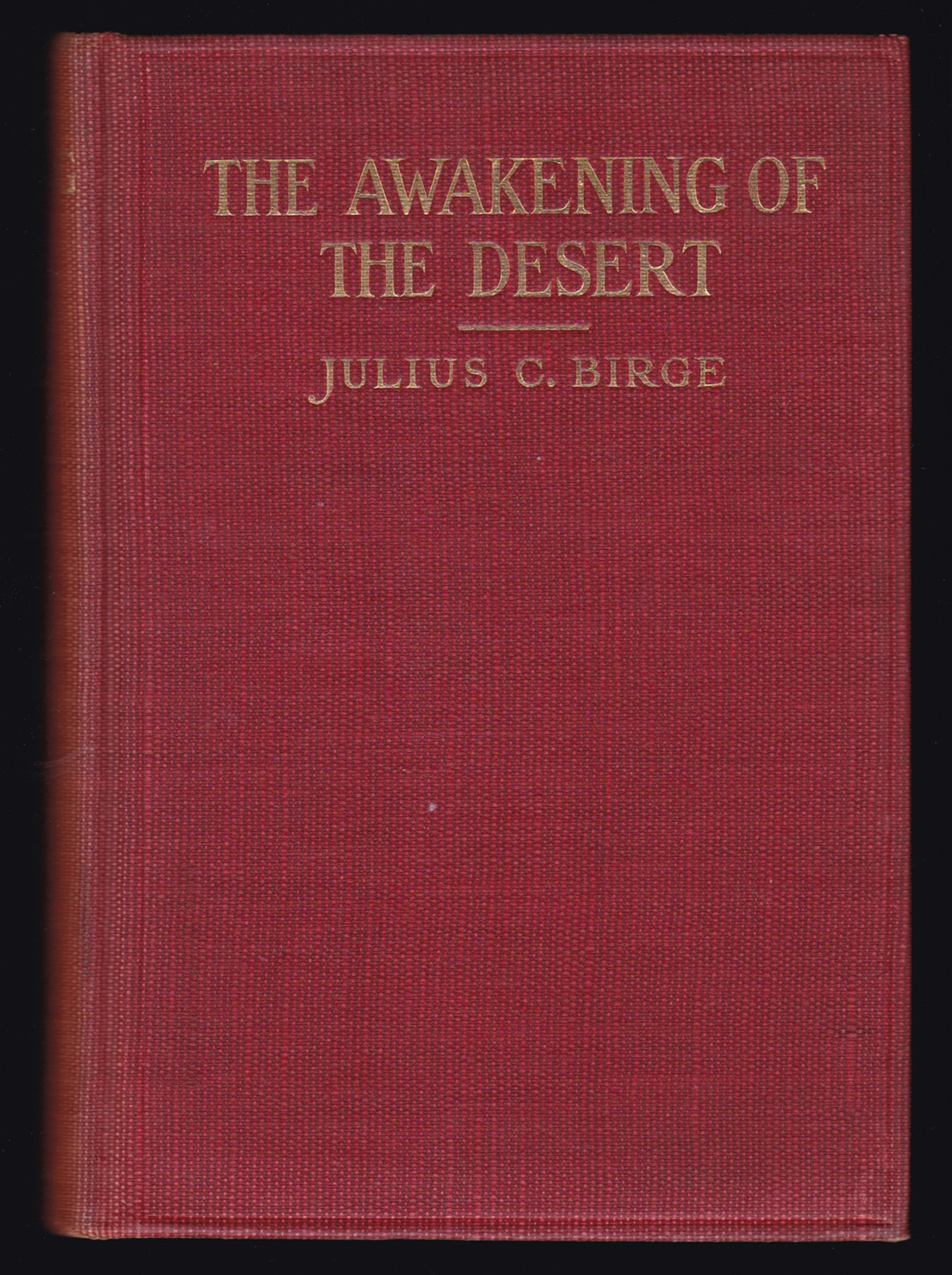 1912 Julius Birge Salt Lake City Utah Mormonism Pacific Coast Travelogue History