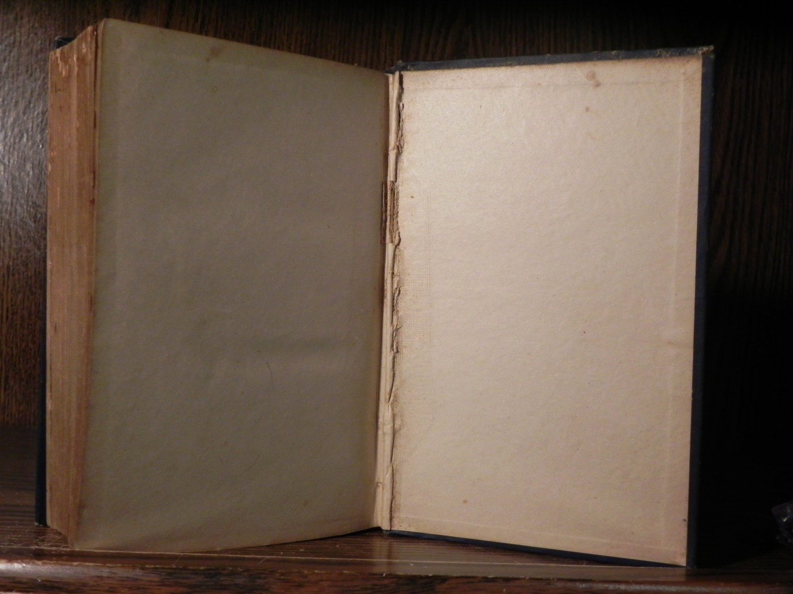 c.1890s Robinson Crusoe – Daniel De Foe – Aldine Edition – Antique Book Novel