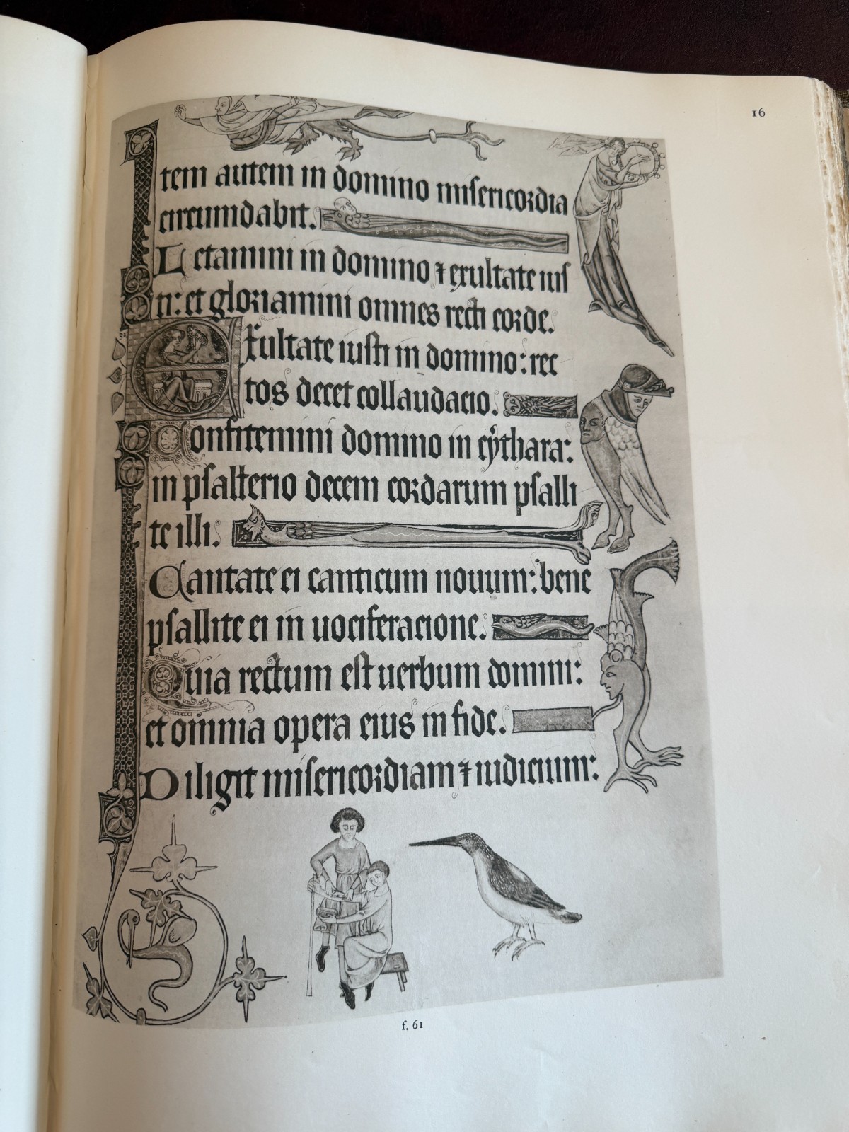 THE LUTTRELL PSALTER – British Museum Trustees 1932 – Large Folio – 185 Plates