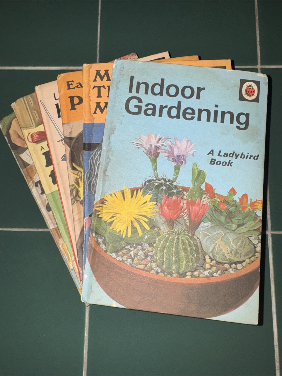 Set of 6 Ladybird Hobbies and crafts books series 633 Vintage