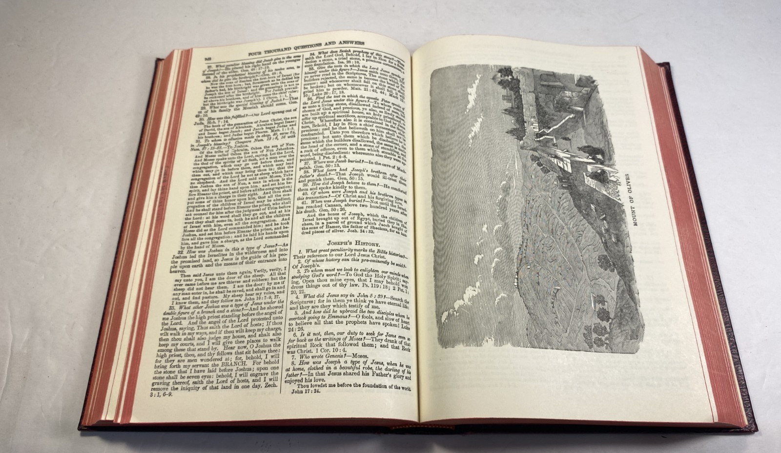 Smith’s Bible Dictionary Revised Edition Leather William Smith, A J Holman HC