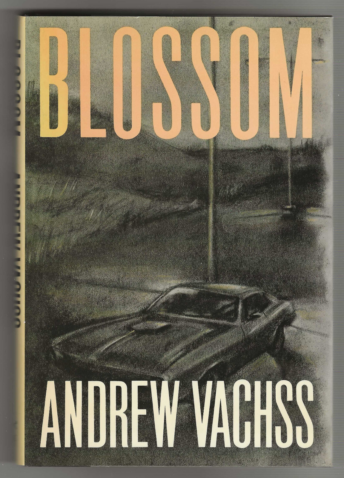 Andrew Vachss BLOSSOM First edition SIGNED Fine Hardback DJ Burke Mystery NY