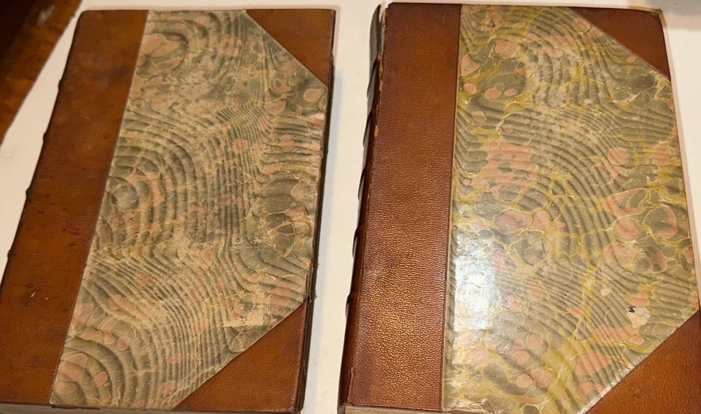1877 Outlines Of The History Of Art DR. WILHELM LUBKE Volume I & II Set As Found