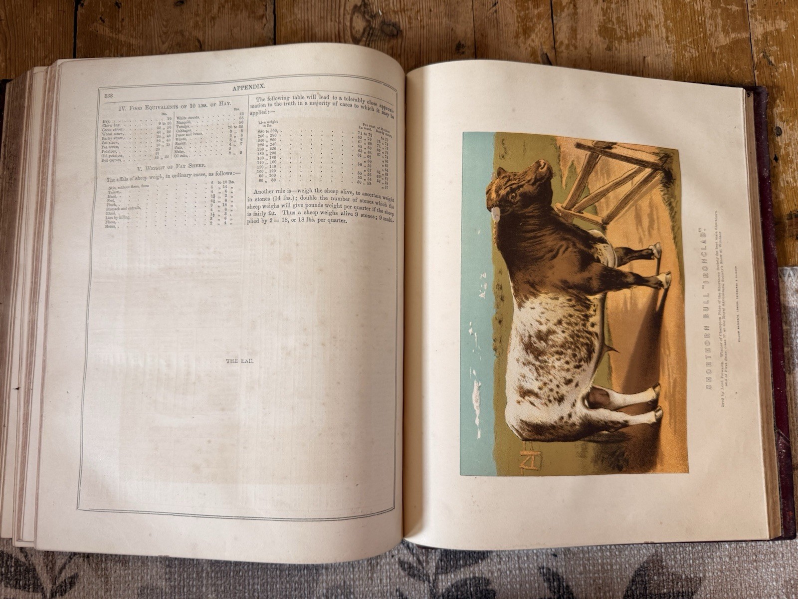 Antique Equestrian Reference Book Modern Practical Farriery Victorian Leather