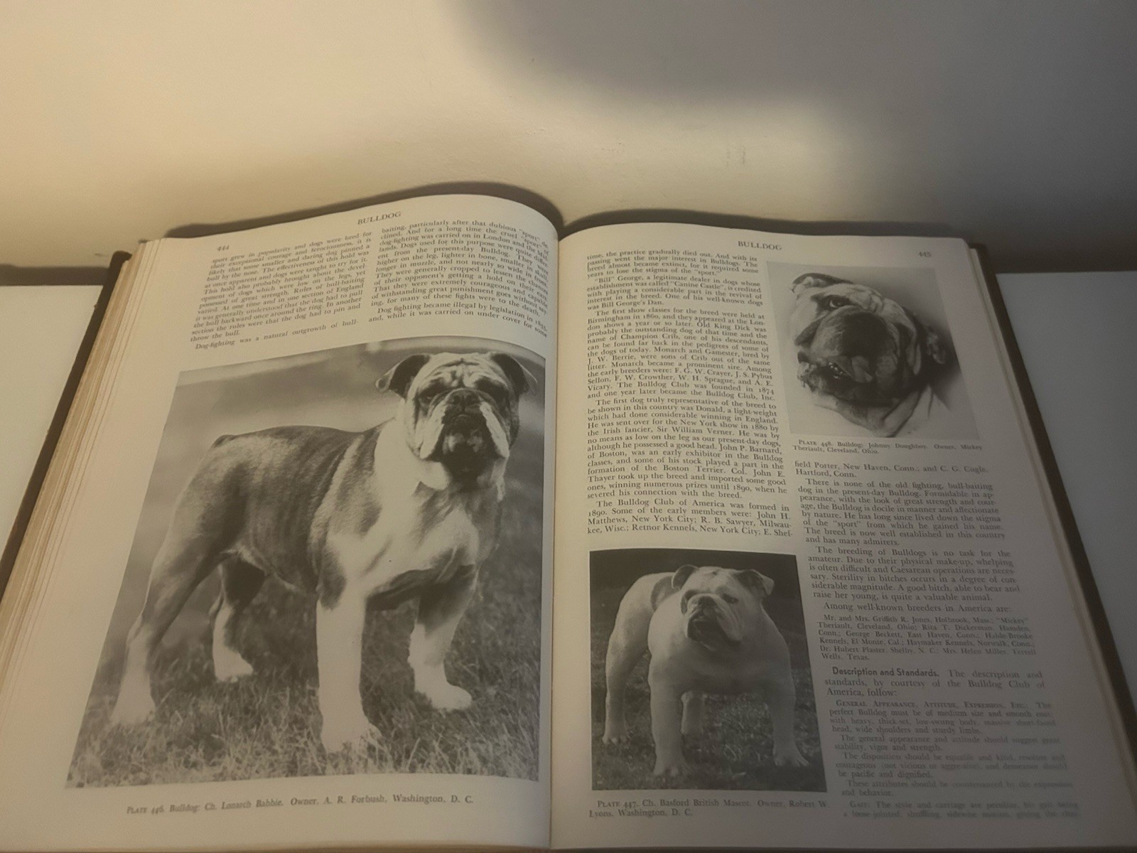 Modern Dog Encyclopedia – Henry P. Davis 1949 Rare Full LEATHER Hardcover Book