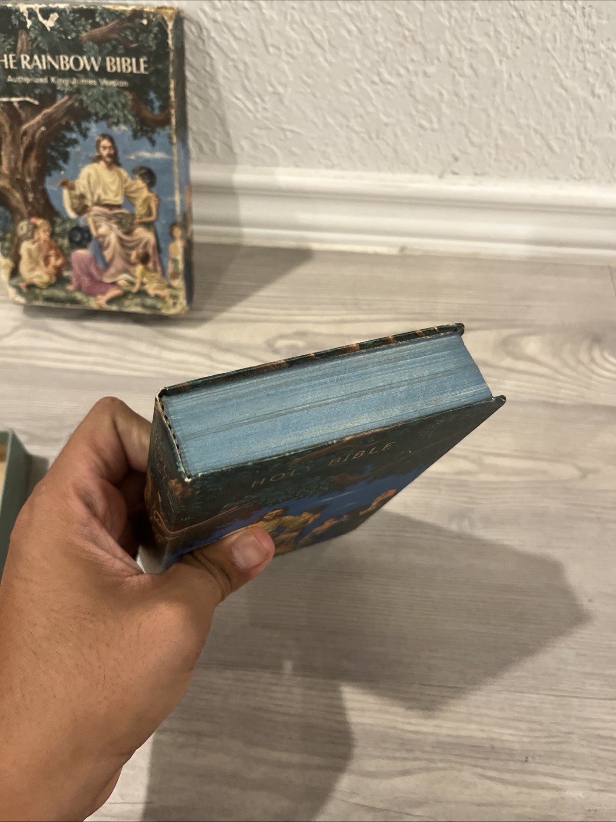 The Rainbow Bible King James Version For Young People 603 Worn
