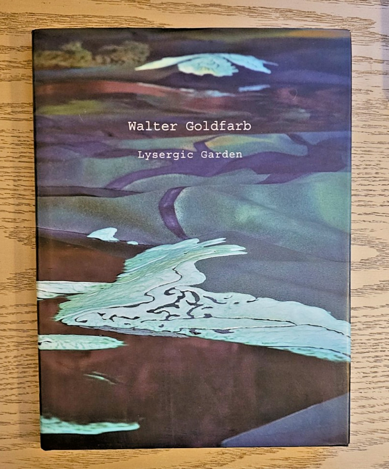 Walter Goldfarb Lysergic Garden Estate Owned HC/DJ 1st Ed Contemporary Art NF