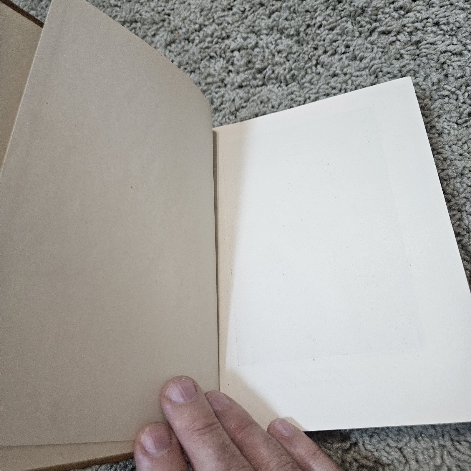 The Child’s World: Second Reader | Johnson Publishing Co 1920