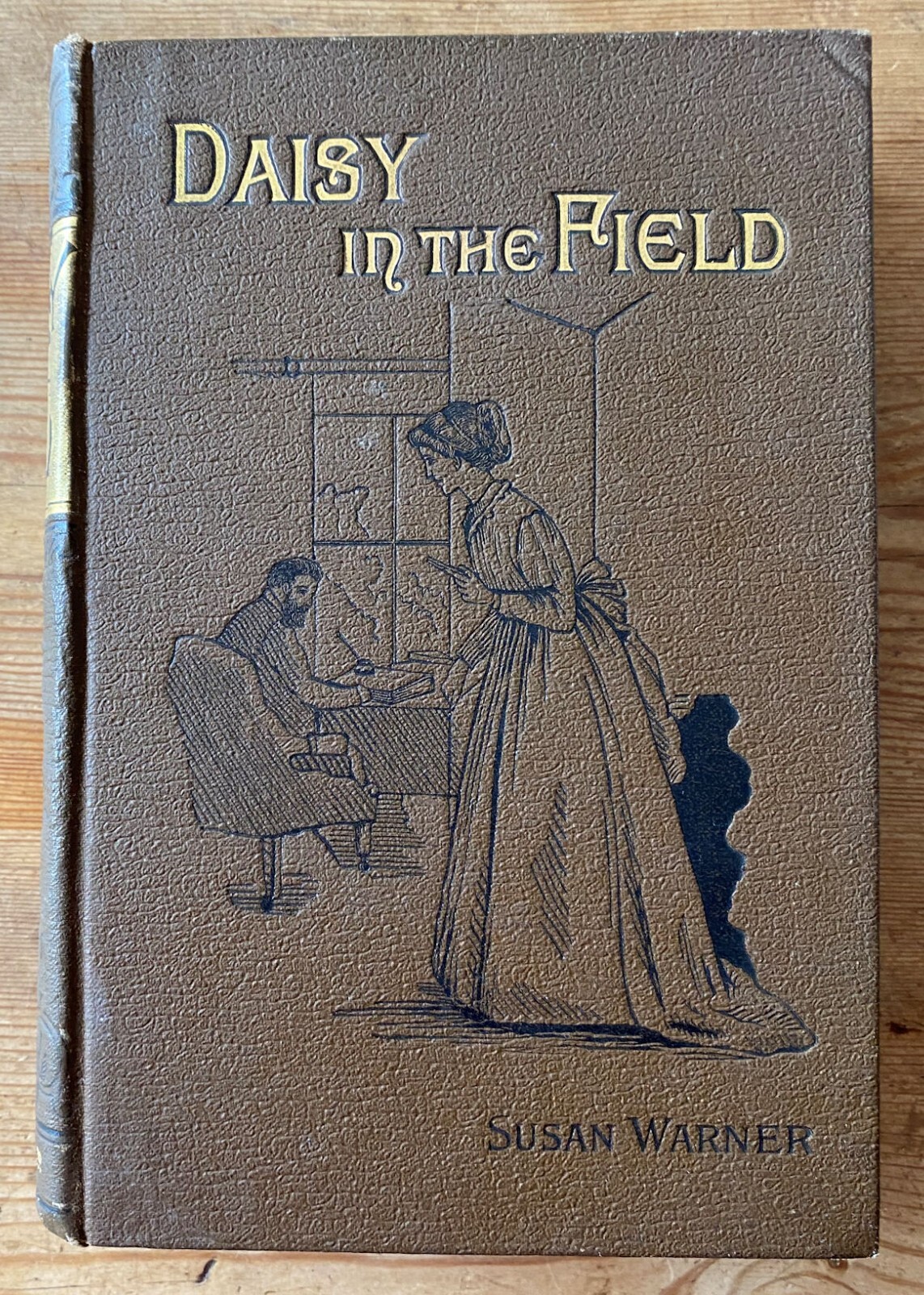 Daisy In the Field, Susan Warner, James Nisbet & Co 1890