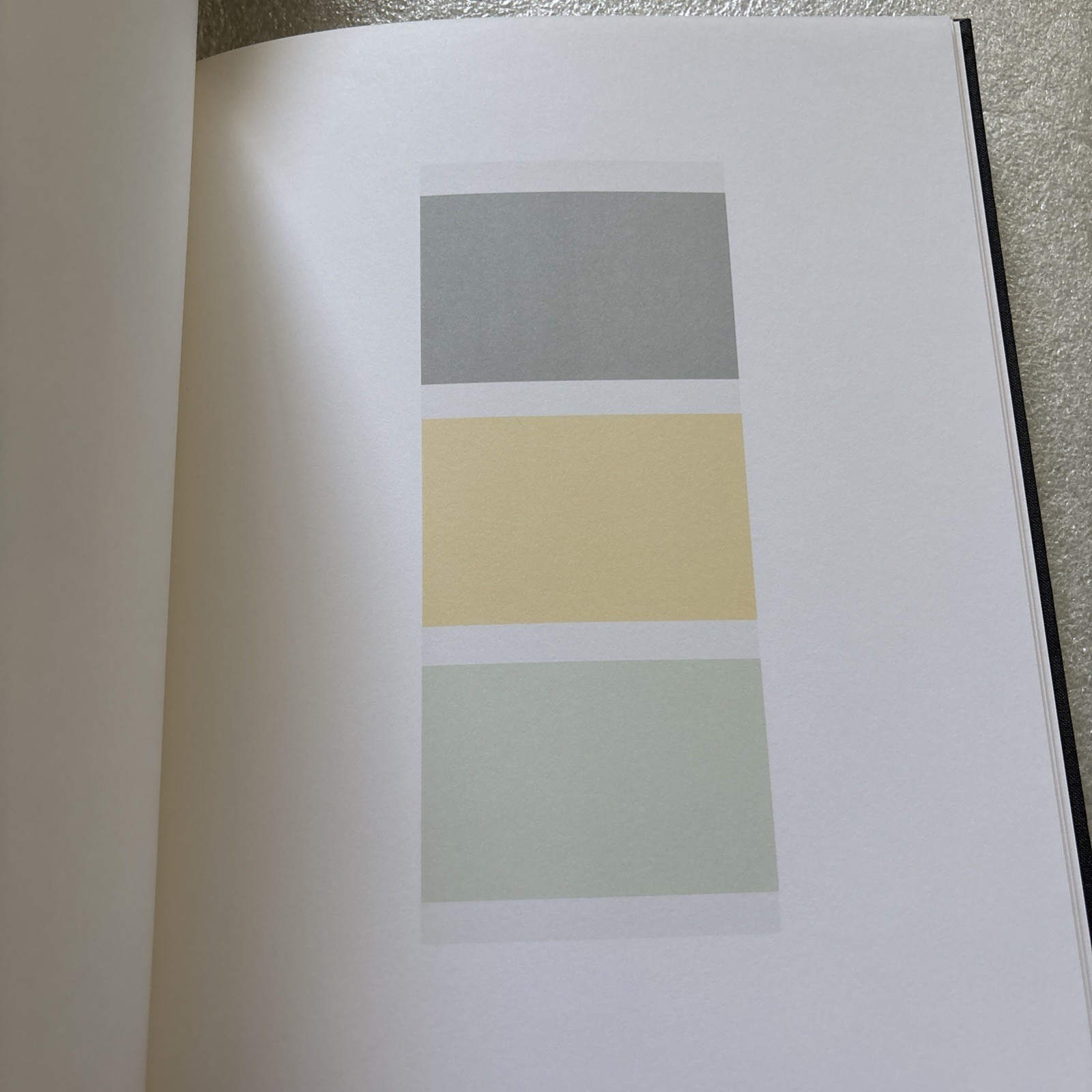 PETER WEGNER Remarks on Color #13/100 Signed & Limited Editions 3 Vol. In Box HC
