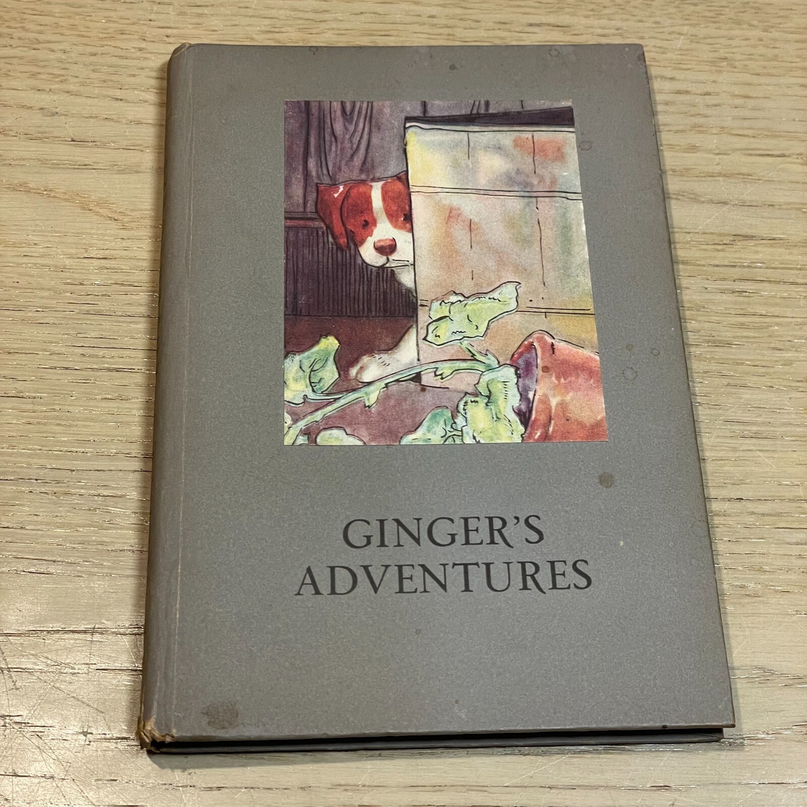 Ladybird GINGER’S ADVENTURES hb 1943 A J MacGregor, W Perring Series 401