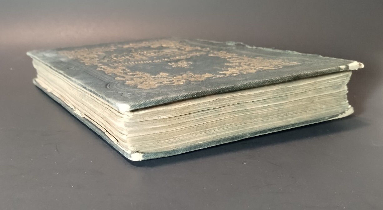 Palatinate At Rhine Rhein Pfalz Illus. Antique, Decorative Hardcover Book 1850’s