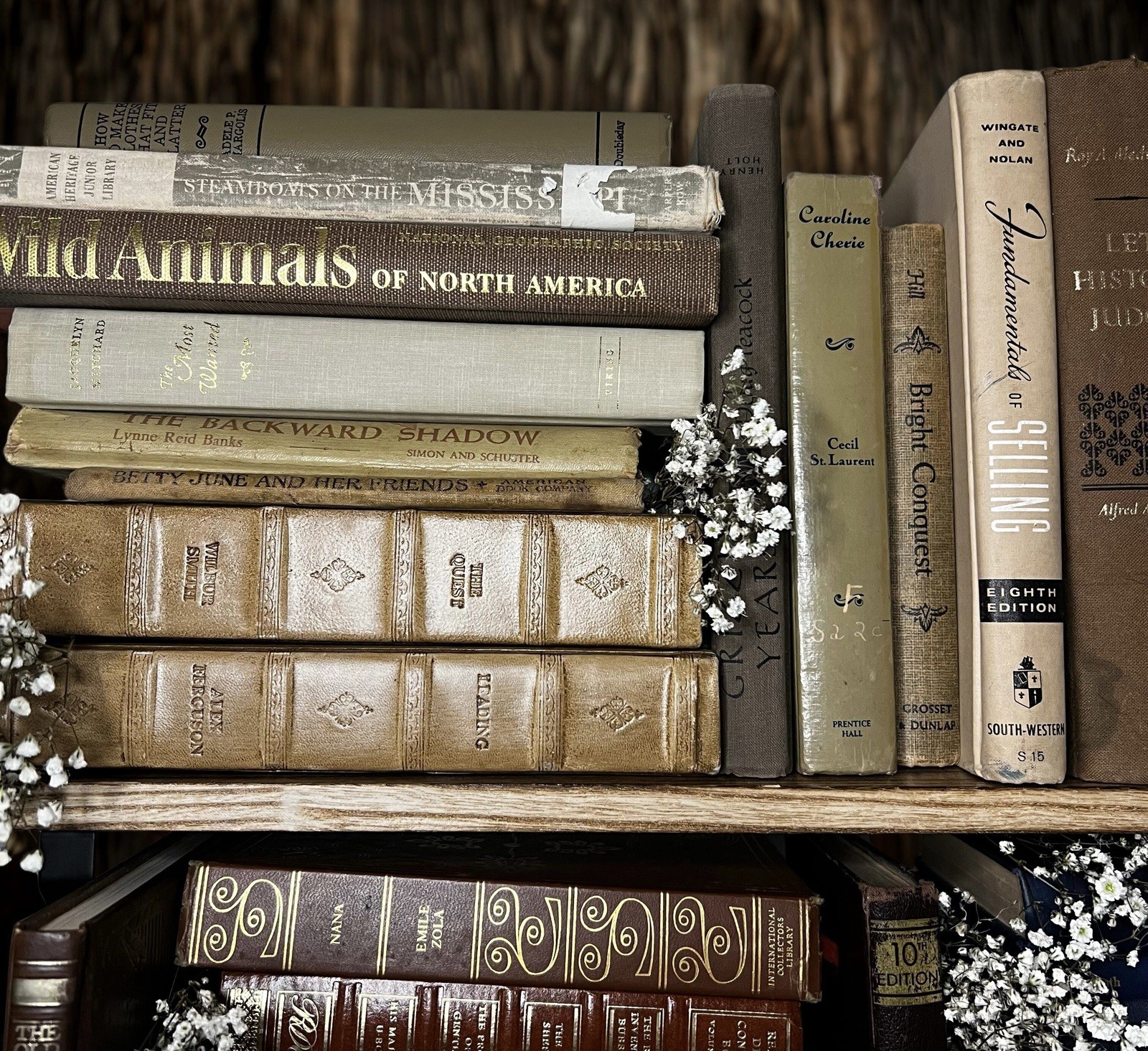 Vintage Book Lot | BROWN Colors | Library Bookshelf Decor | Old Library Staging
