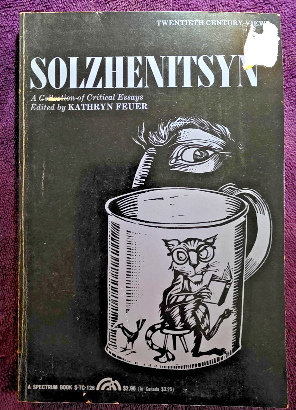 Solzhenitsyn: A Collection of Critical Essays Paperback 1976 Prentice-Hall