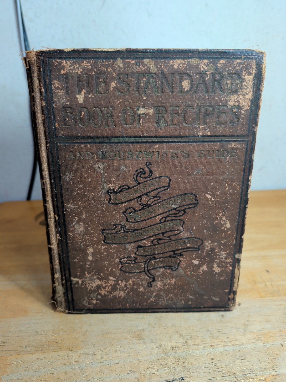 THE STANDARD BOOK OF RECIPES AND HOUSEWIFE’S GUIDE 1ST ED. 1901 W.E. Scull