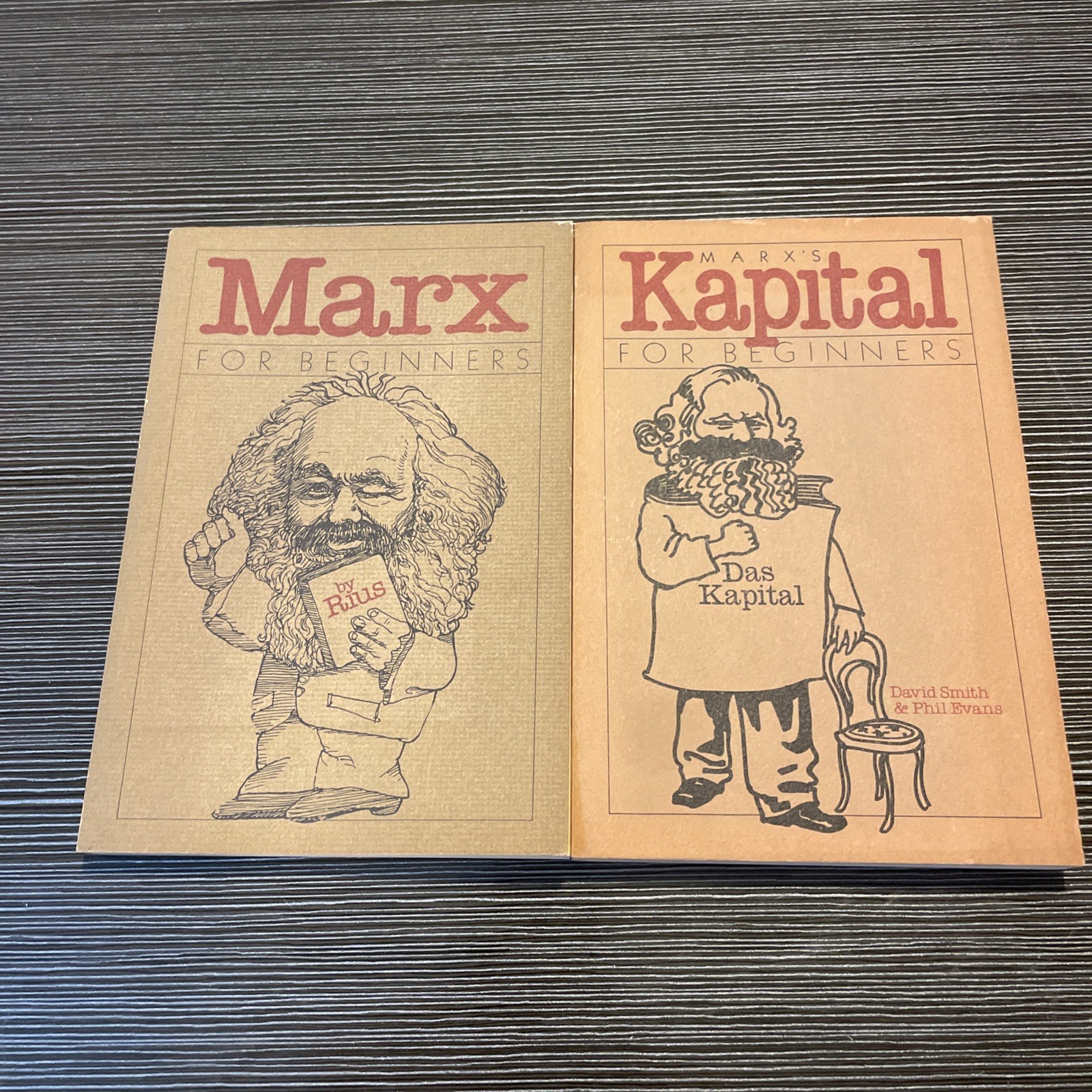 Marx Illustrated Political Theory “For Beginners” & “Kapital for Beginners” Lot
