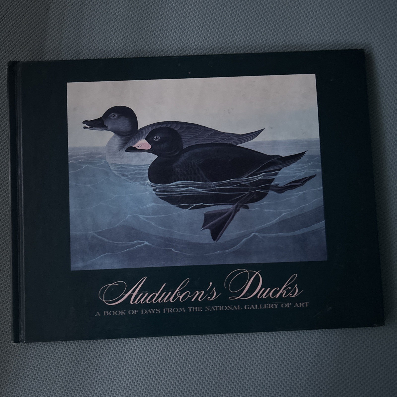 AUDUBON’S DUCKS: A BOOK OF DAYS FROM THE NATIONAL GALLERY By John James Audubon