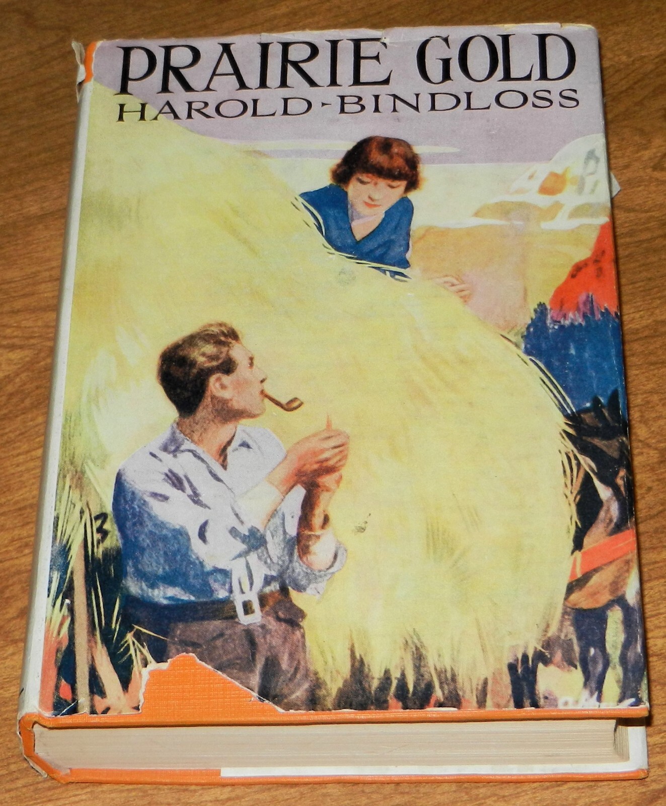 Prairie Gold. Harold Bindloss War veteran ranchers Manitoba