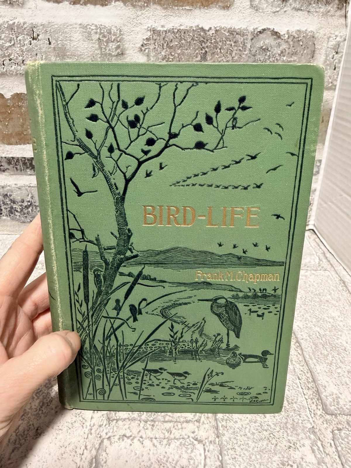 BIRD-LIFE A Guide To Study Our Common Birds 1897 Frank M. Chapman Illustrated