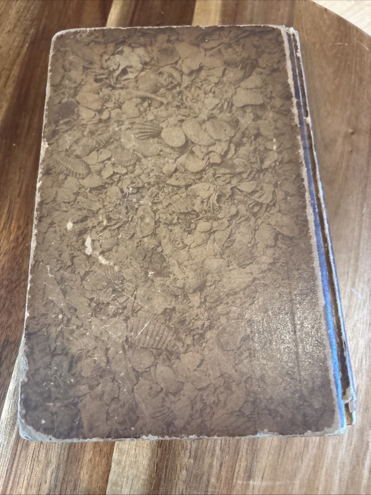 Antique Book , “Old St Augustine: A Story of Three Centuries “ by Chas Bingham .
