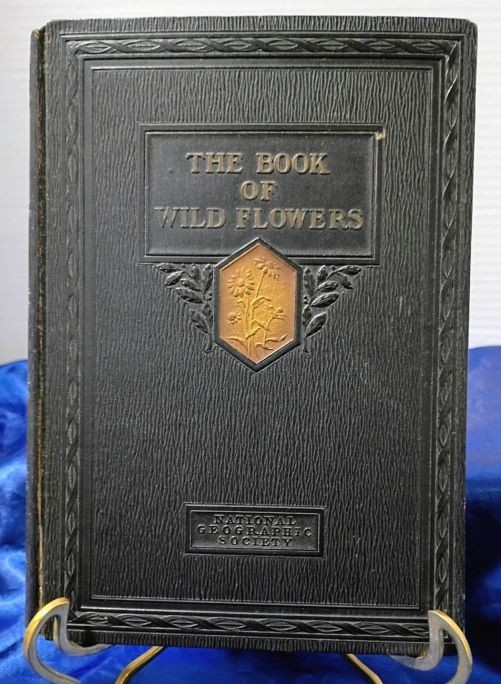 The Book of Wild Flowers National Geographic Society, 1924 1st ED/HC Antiquarian