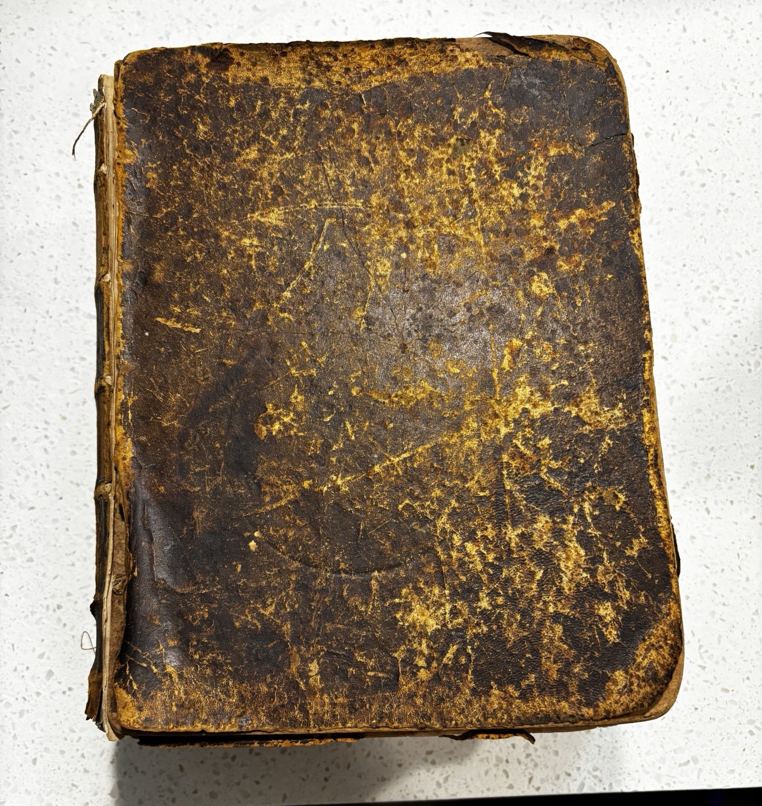 Noah Webster Leather Bound Unabridged Dictionary Super Rare Antique 1859