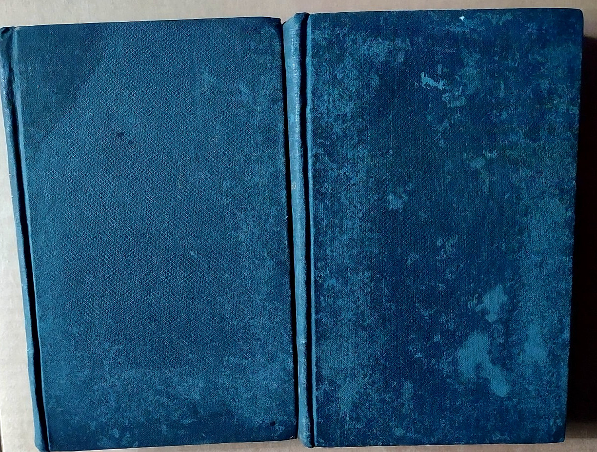 Lot of 2 -The Novels of Victor Hugo: Volumes 15 & 22 – P.F. Collier around 1900