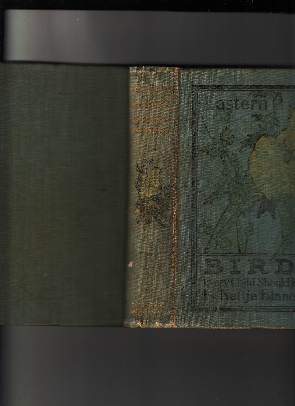 EASTERN BIRDS EVERY CHILD SHOULD KNOW NELTJE BLANCHAN. 1907, PHOTOBOOK. HB. VG