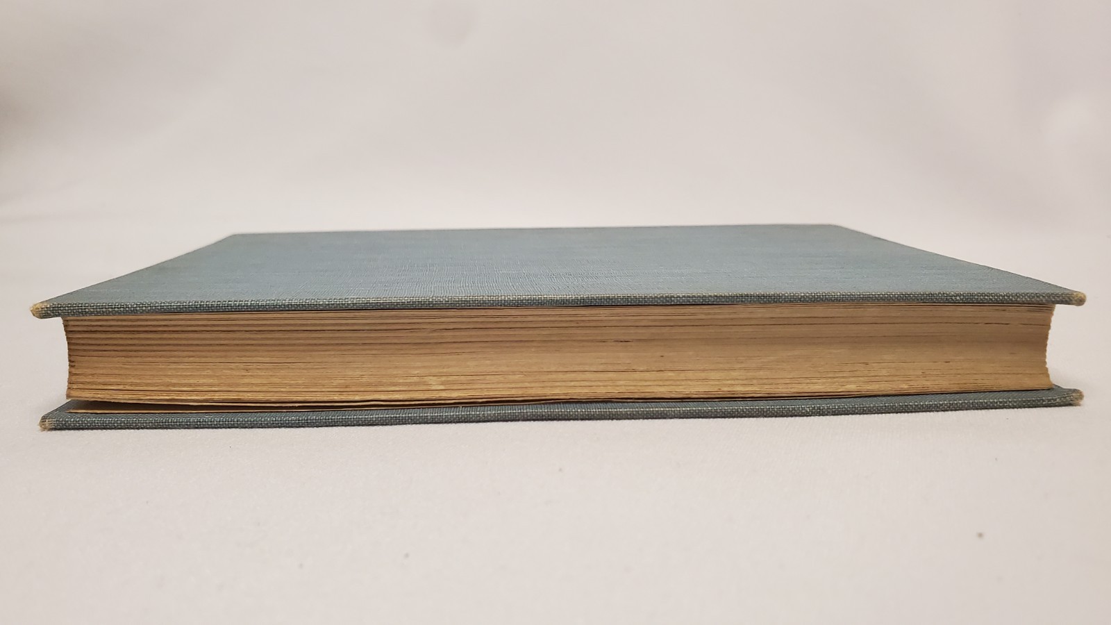 Vildfågels Fäste By Runa (Elisabeth Beskow) Cloth & Gilt Book in Swedish 1919