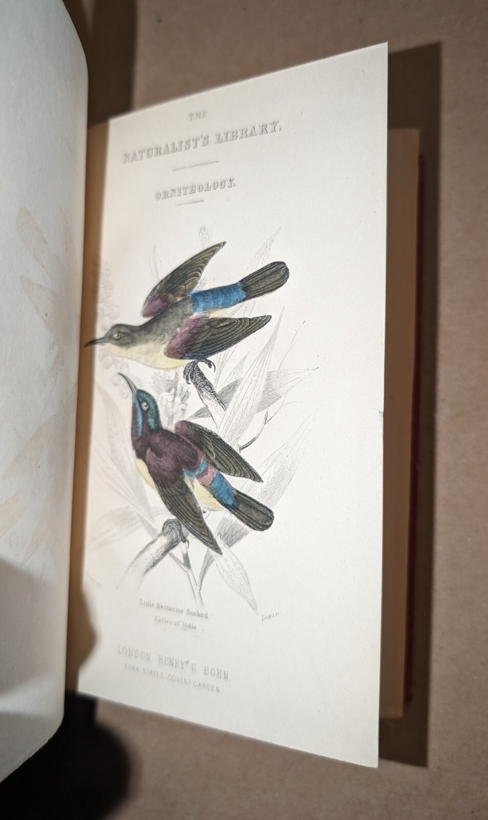 Naturalists‘ Library Nectariniadae Sun-Birds William Jardine 1864 color plates