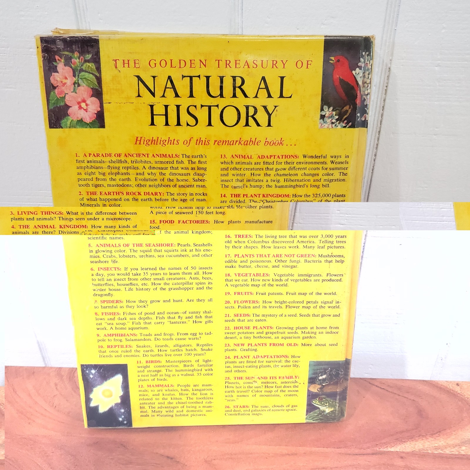 The Golden Treasury of Natural History by Bertha Morris Parker 1952 Vintage HC