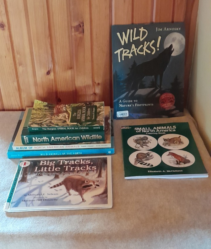 Animals of North America Unit study – huge lot Animal Book for Children + more