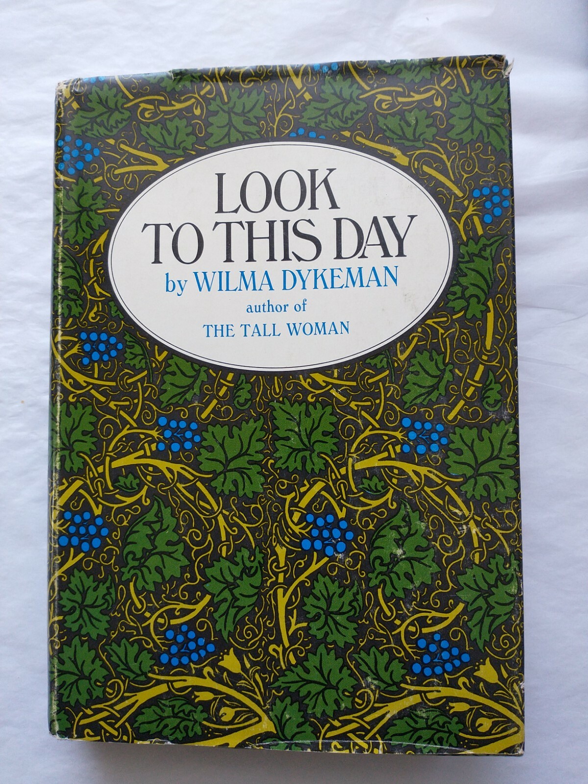 Look to this Day (Wilma Dykeman, 1968 1st edition Hardcover w/DJ)