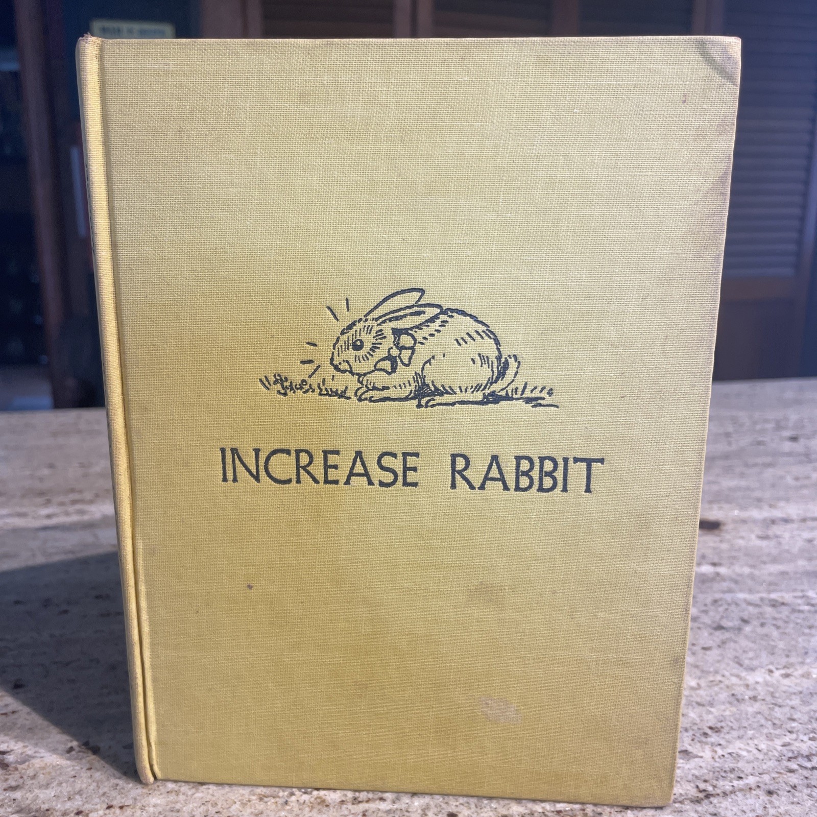 INCREASE RABBIT by T.L. McCready, Jr. 1st 1958 HC Illustrations by Tasha Tudor