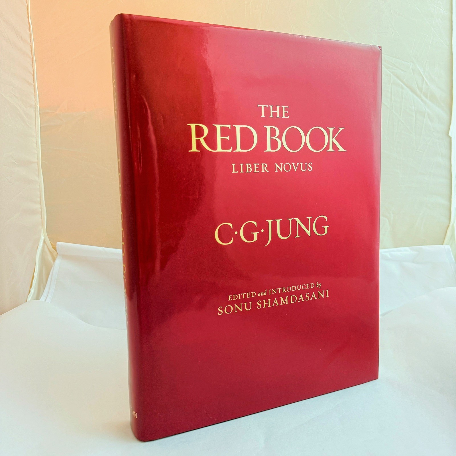 Carl Jung Red Book: LARGE Liber Novus First Edition Hardcover with Dust Jacket