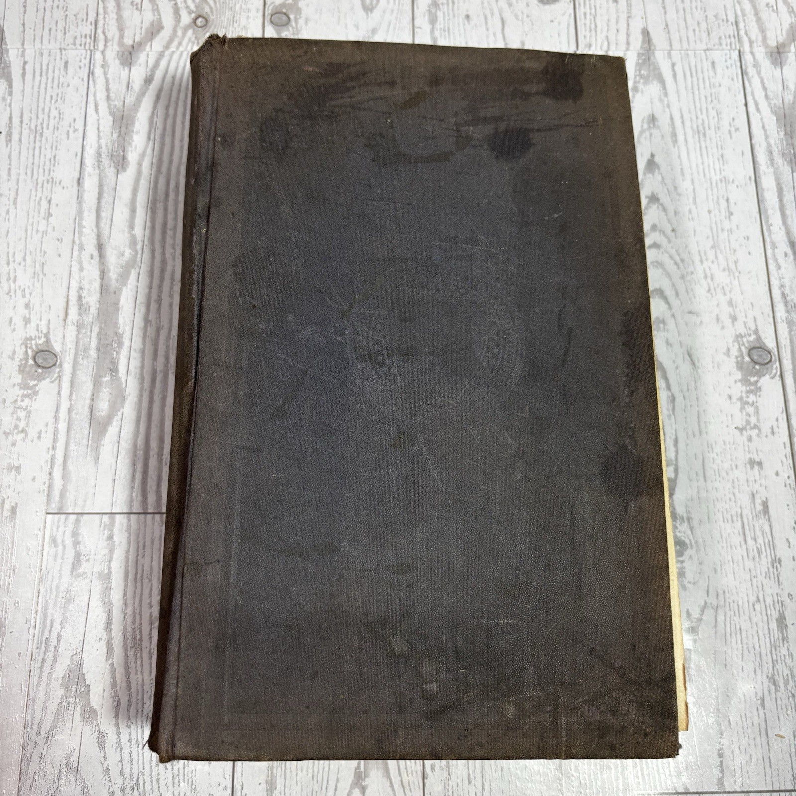 Yearbook of the United States Department of Agriculture 1899, Washington 1900