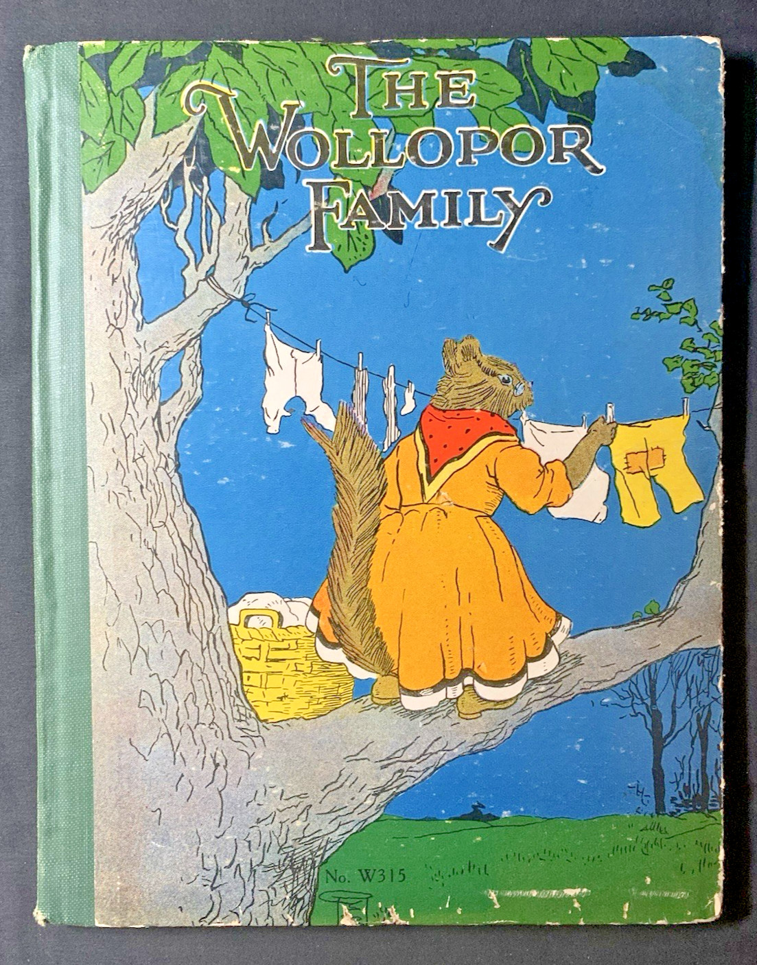 Wollopor Family Anne Hare Harry Miller 1927 Saalfield Antique Illustrated Book