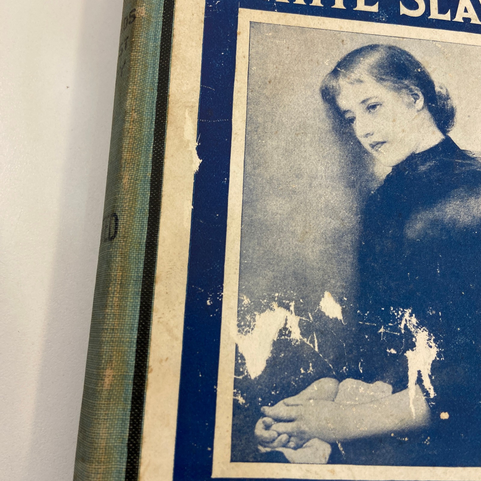 From Dance Hall to White Slavery William H Lytle Antique 1912 Illustrated HC