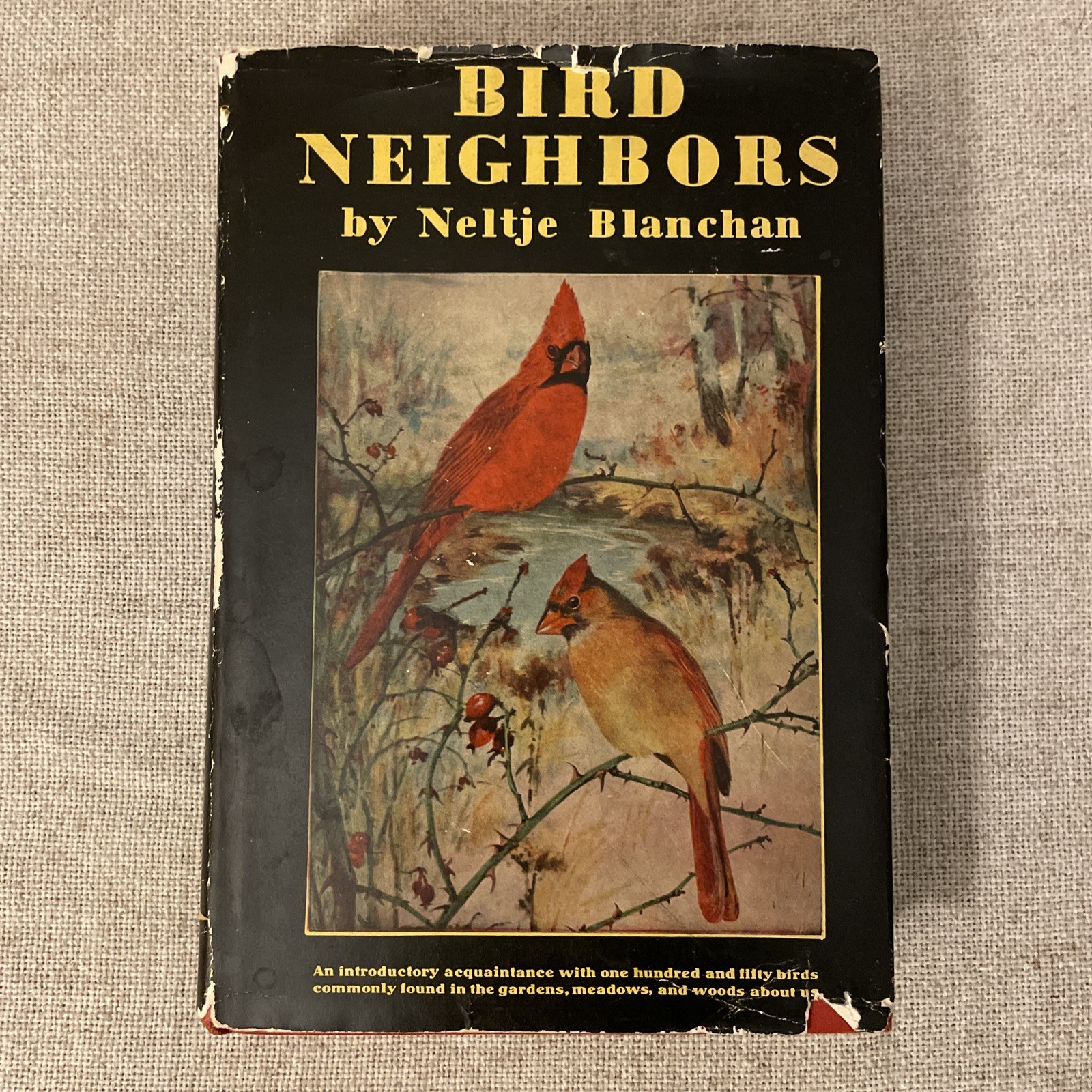 Bird Neighbors by Neltje Blanchan 1922 HC DJ Illustrated Garden City