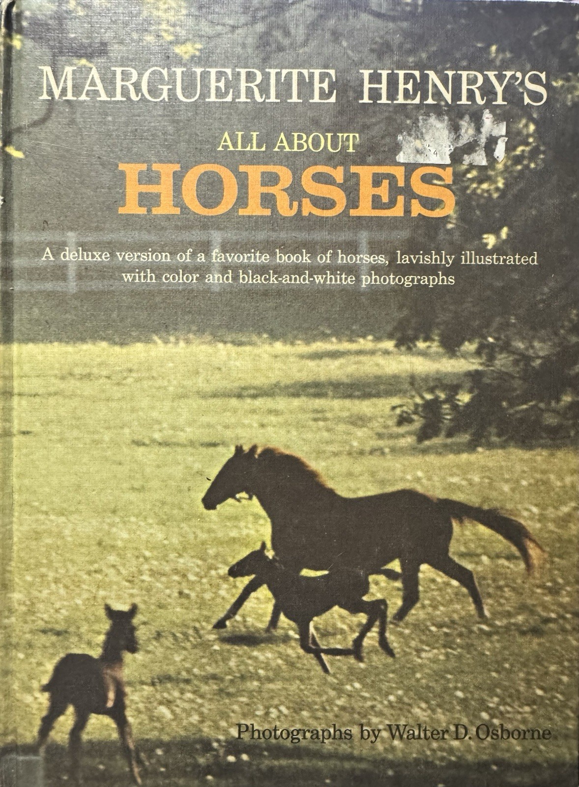 Marguerite Henry’s All About Horses, HC 1967 Random House Illustrated VTG Book