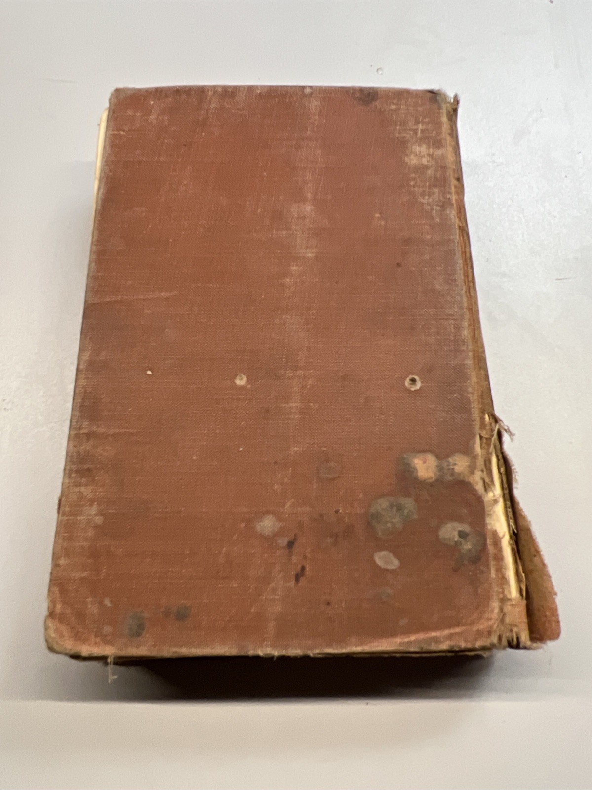 1910 First Edition Cowboy Life on the Western Plains, Clarence King, Cheyenne