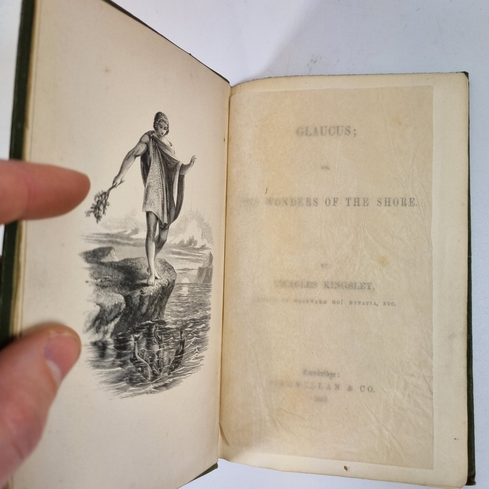 Glaucus: Or The Wonders Of The Shore By Charles Kingsley 1855 Macmillan & Co.
