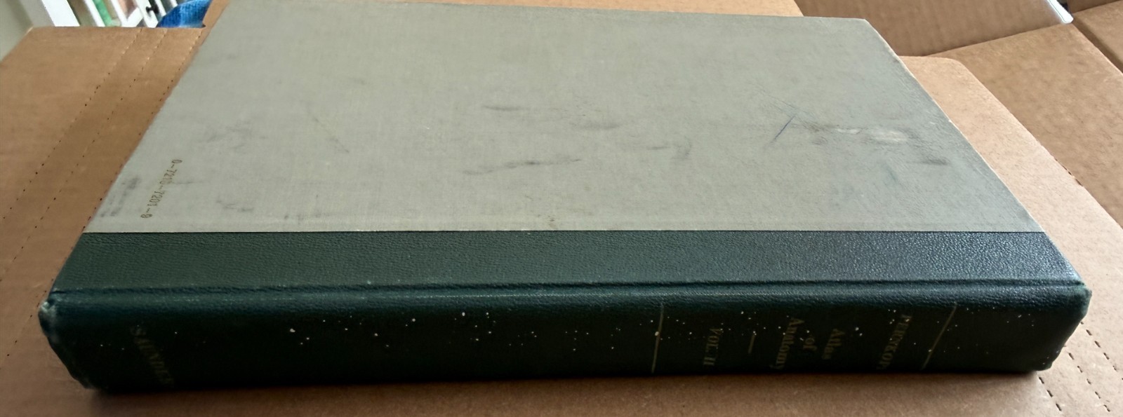 Pernkopf Atlas Topographical Applied Human Anatomy Vol 2 1964 W.B. Saunders