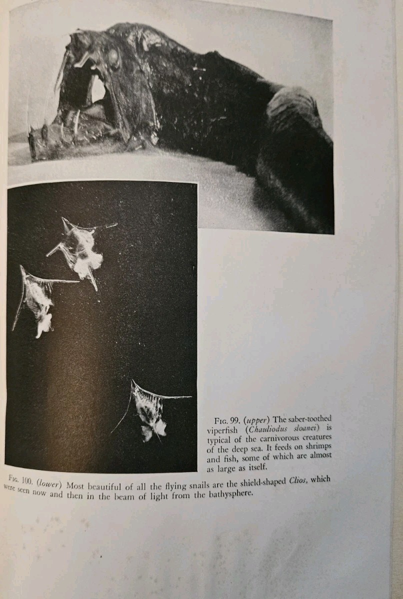 Half Mile Down William Beebe 1934 Bathysphere Deep Sea Exploration Bermuda