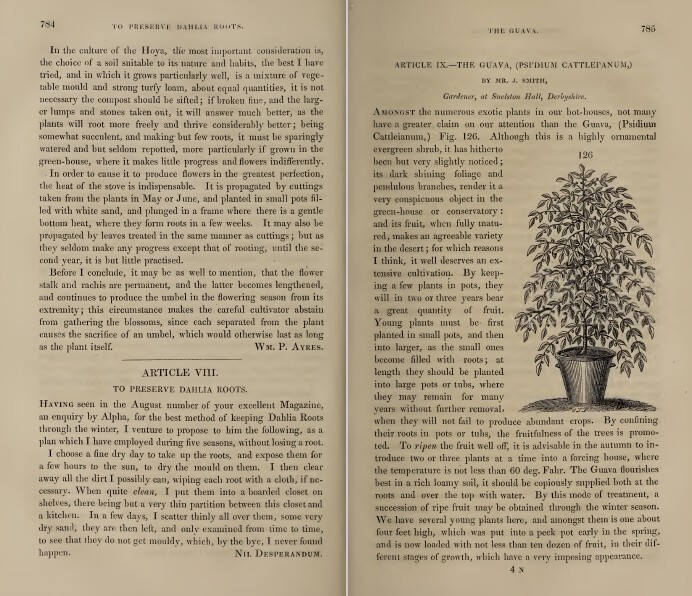 The Horticultural Register and General Magazine (1831-1836) – 5 Volumes on DVD