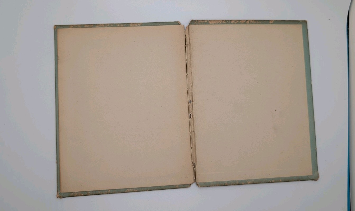 1900’s Antique Victorian Poetry Book “ Brilliants “ From Whittier