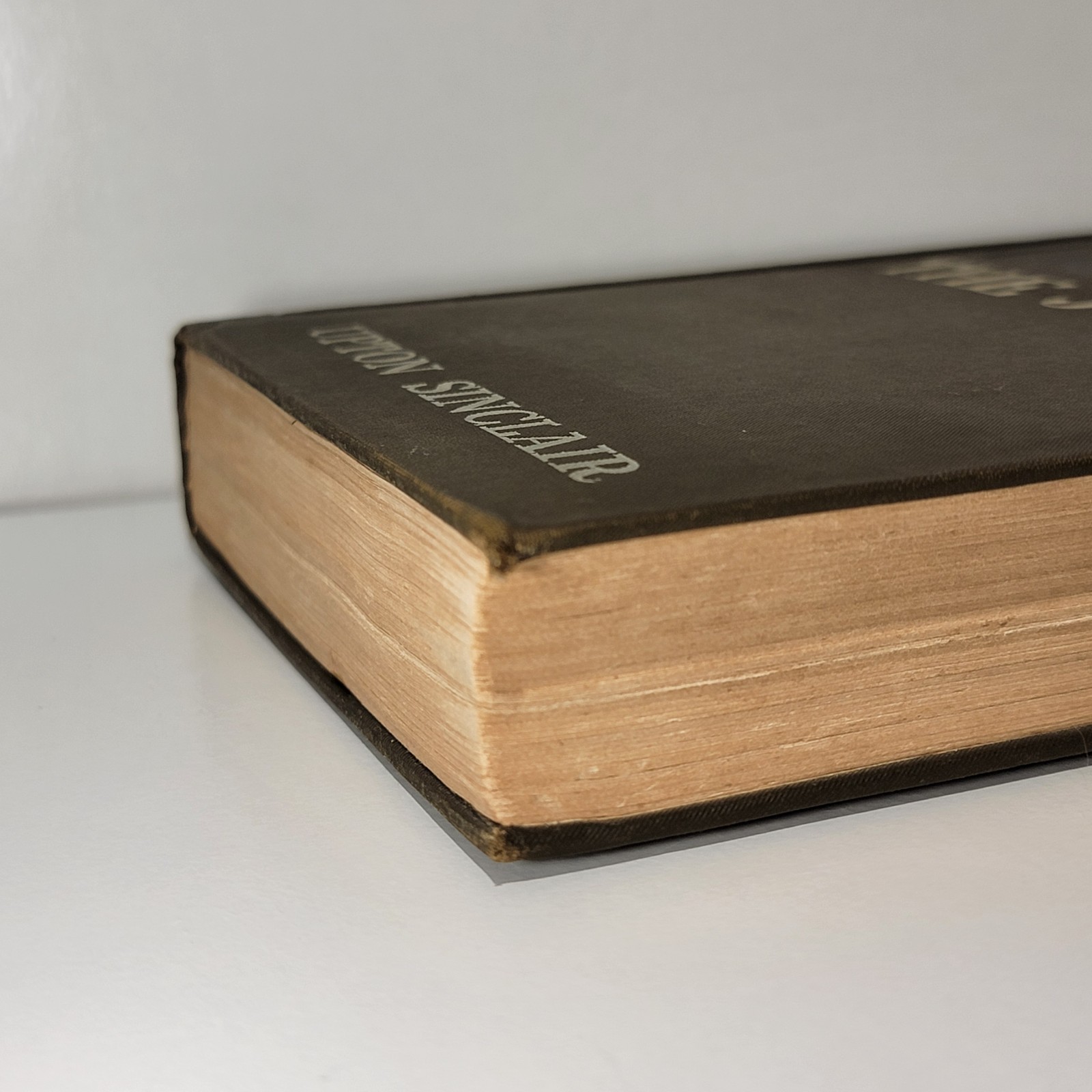 The Jungle by Upton Sinclair First Edition 1906, Doubleday, Page & Company