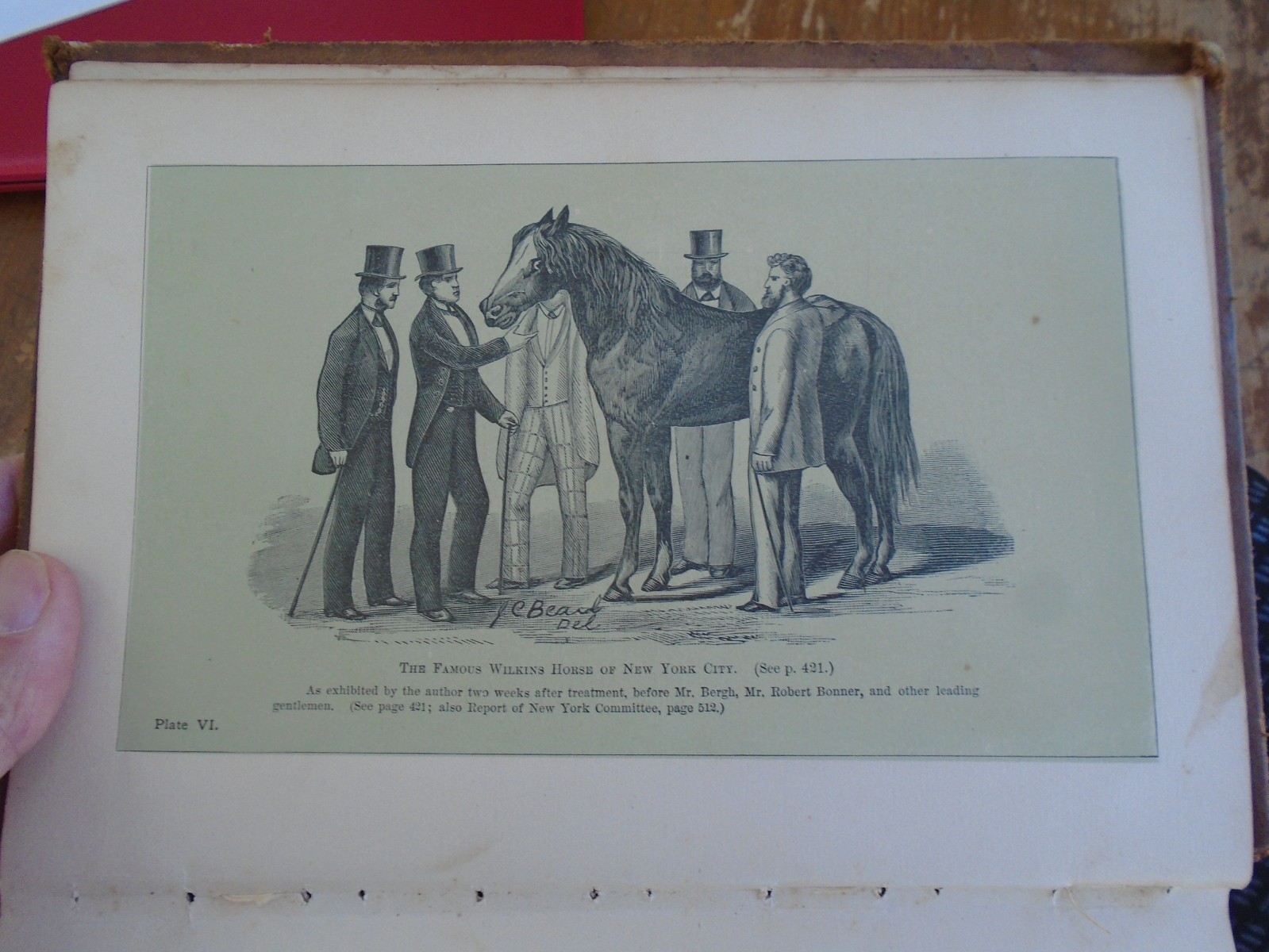 Taming and Educating Horses by D. Magner, 1877, 1112 Pages, 4 1/2 lbs!